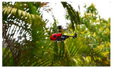 #0052 RC Mini Helicopter 2CH Portable QS5012 with 610 Brushed Motor RC Mini Helicopter