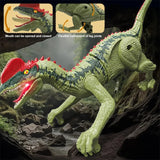 #0652 2.4G Mini Remote Control Toys Simulation Dinosaur Sound Walking Electric Toys with Lights Removable RC Toys Animal Gift for Kid